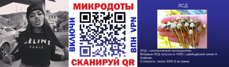 где продают наркотики  Артёмовск  Псилоцибиновые грибы Cubensis 